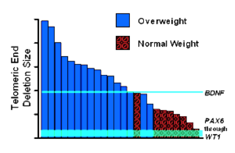 Telomeric End Deletion Size.