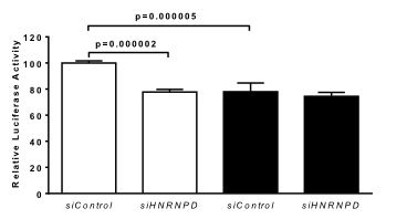 Relative Luciferase Activity.