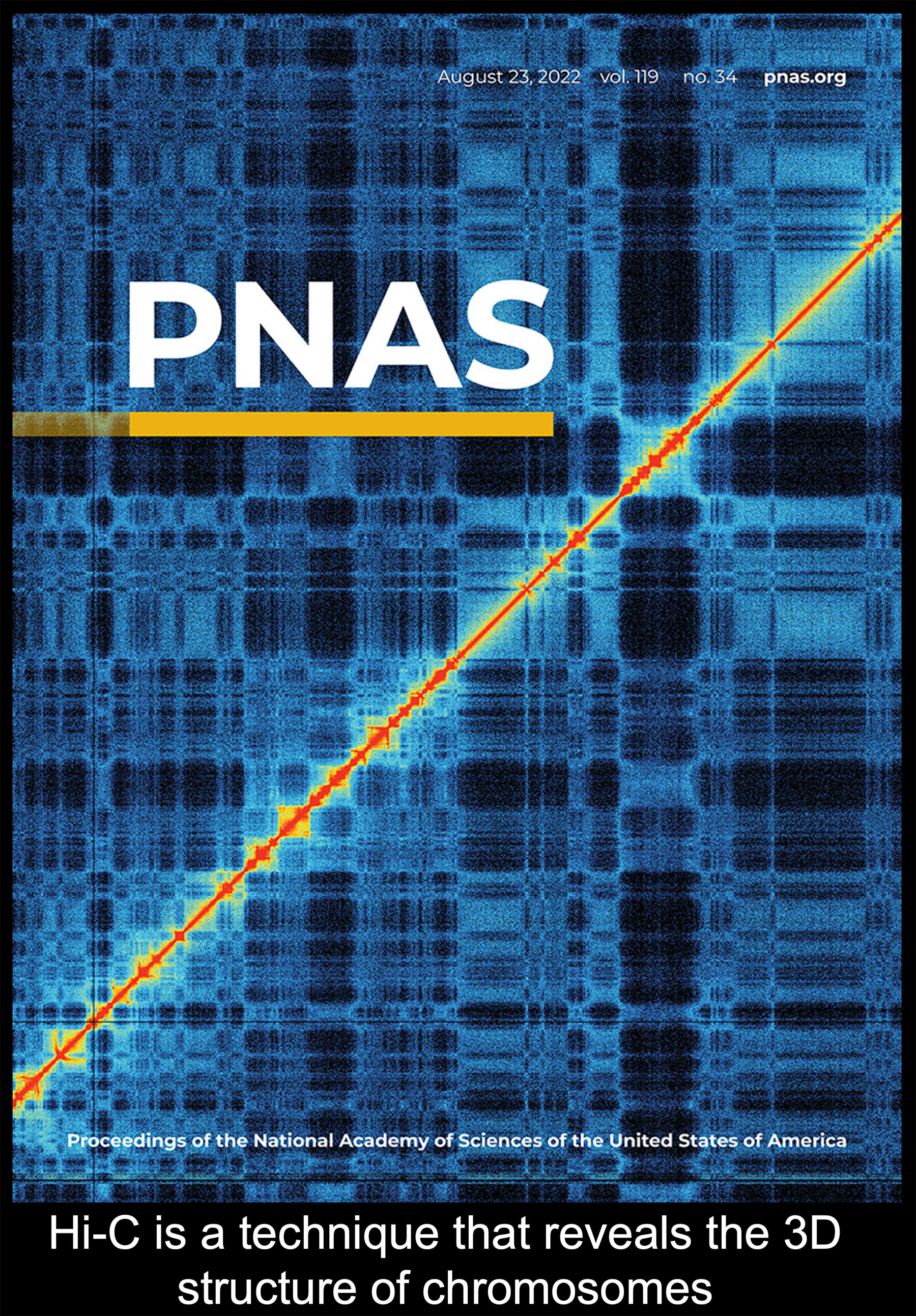Image shows cover of a PNAS journal displaying HiC data that is used to map chromosomal interactions. Text on image reads Hi-C is a technique that reveals the 3D structure of chromosomes.