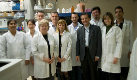 Group photo of Stratakis lab in 2011.