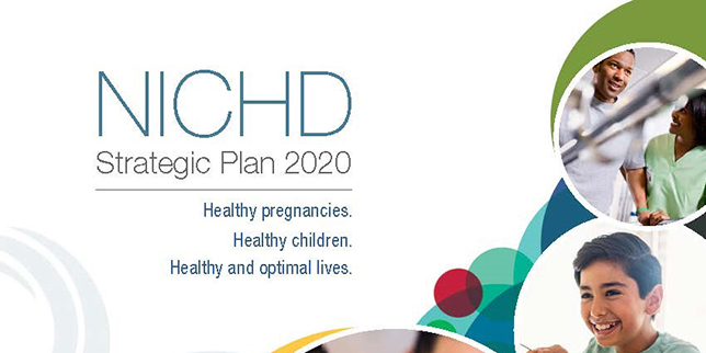 The NICHD Strategic Plan 2020 outlines our goals for supporting healthy pregnancies, healthy children and healthy and optimal lives. 