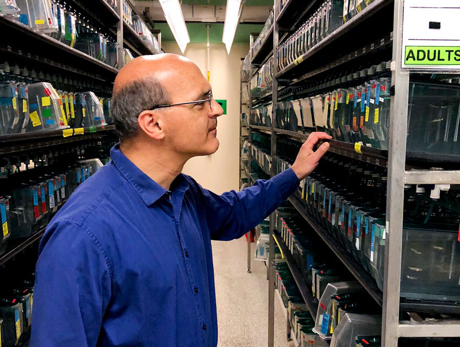 Brant Weinstein looking at shelves of research samples.