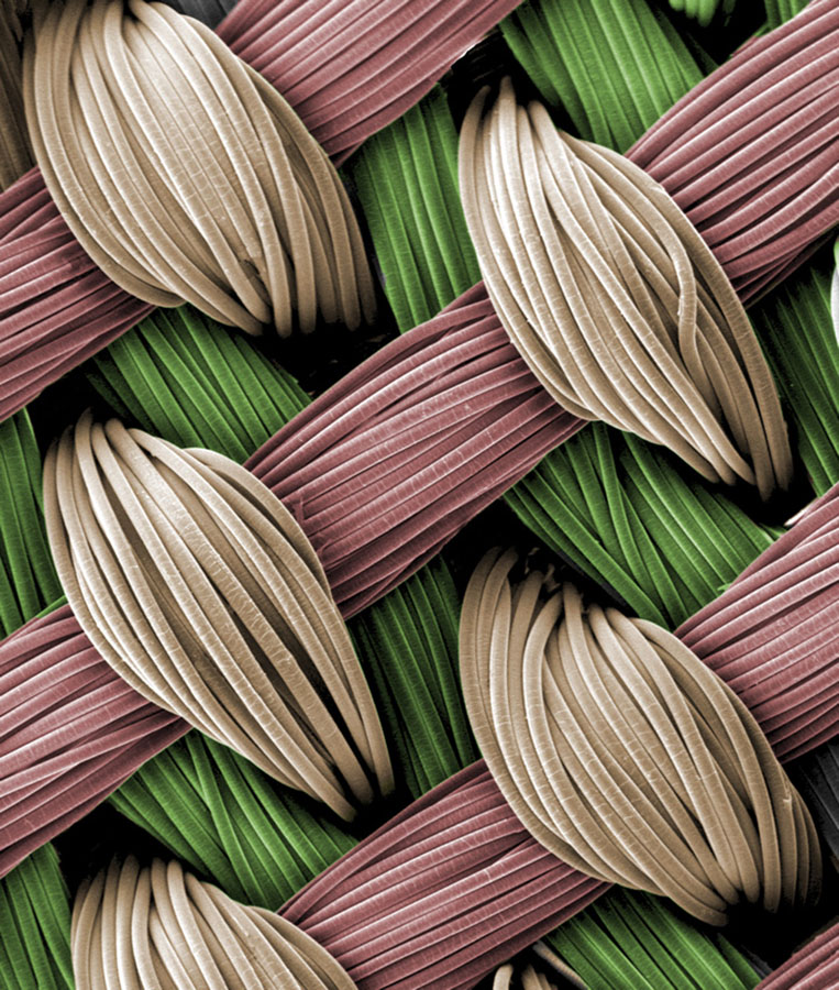 A micrograph of a scaffold for growing stem cells.