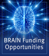 BRAIN Funding Opportunities