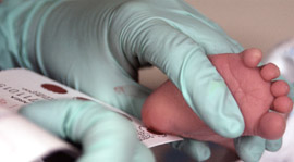blood sample being taken from a new born's heel for screening