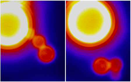 Photos of endocytosis.