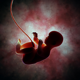 Could cutting the umbilical cord too soon stress newborns?  NICHD - Eunice  Kennedy Shriver National Institute of Child Health and Human Development