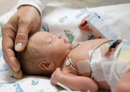 doctor touching head of a premature baby in incubator