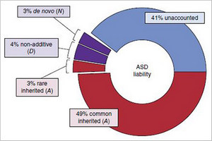 Risk for autism spectrum disorders from inherited variations in the genetic code: autism spectrum disorders 49% common inherited; 3% rare inherited; 4% non-additive; 3% de novo; and 41% unaccounted.