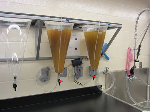 Panel 4: Brine Shrimp Hatching Cones