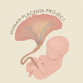 Human Placenta Project logo.