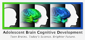 Adolescent Brain Cognitive Development logo