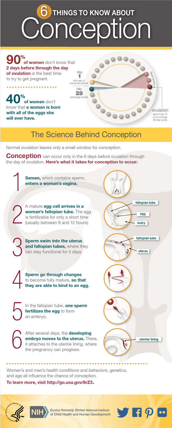 Women's Health Infographic: Conception