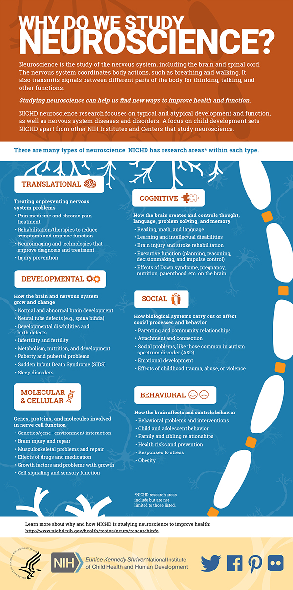 a case study neuroscience