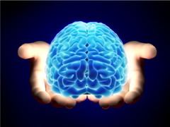 Image of brain being held in hands