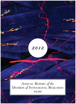 Cover of DIR's 2012 Annual Report