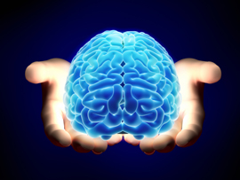 graphic of brain being held in hands