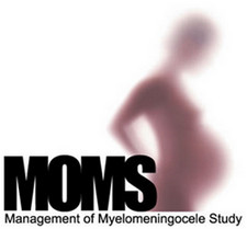 MOMS: Management of Myelomeningocele Study logo