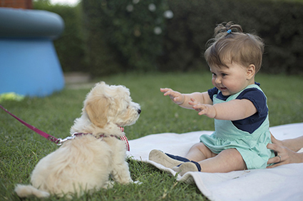 Young Boy and Dog