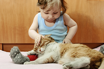 Young Girl Petting Cat