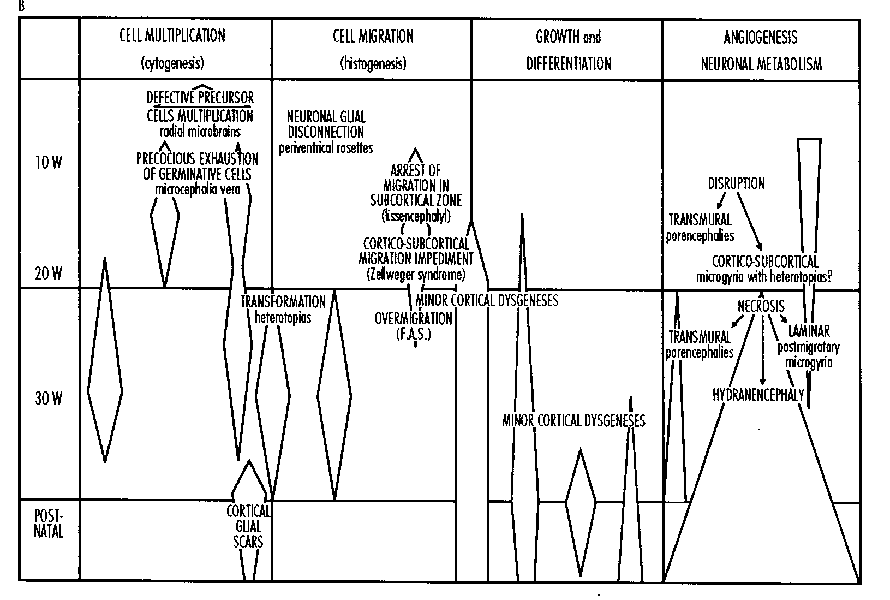 Figure 1 Representation of the Chronology