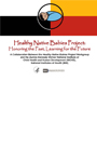 Healthy Native Babies Project Facilitator's Packet (Includes Training Guides, Resources Disk, and Activity Materials)