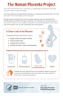 Human Placenta Project Fact Sheet