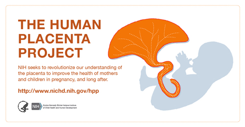 The Human Placenta Project Facecbook Image